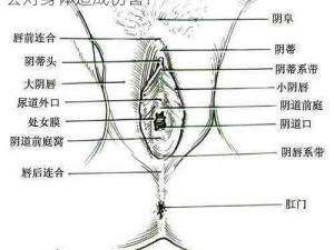 玩弄大荫蒂荫道—请问玩弄大荫蒂荫道是否会对身体造成伤害？