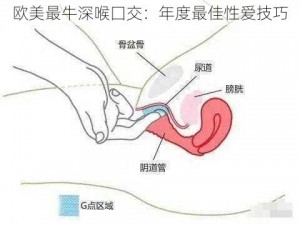 欧美最牛深喉囗交：年度最佳性爱技巧