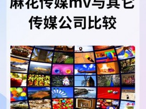 麻花传媒 MV 国产在线观看使用方法：搜索相关网站，点击进入，选择喜欢的影片，点击播放