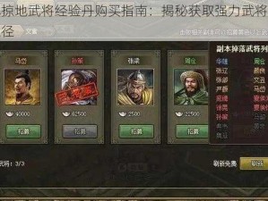 攻城掠地武将经验丹购买指南：揭秘获取强力武将的秘密途径