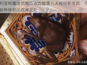 哈利波特魔法觉醒巧克力蛙第八天神秘新发现：今日揭秘特殊物品现身之处