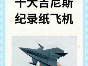 全球瞩目四大顶尖纸飞机缔造空陆神话，破空而来惊艳四海