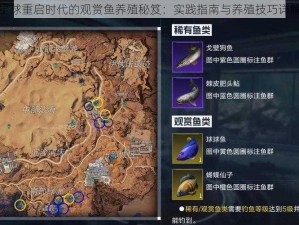 星球重启时代的观赏鱼养殖秘笈：实践指南与养殖技巧详解