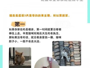 揭秘最囧游戏3第42关攻略：寻找猫咪隐匿之处的挑战与技巧全解析