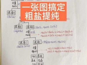 古法新传：现代提盐工艺流程解析与实践之路探寻