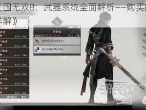 《真三国无双8：武器系统全面解析——购买锻造与镶嵌详解》