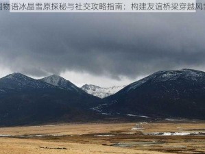 龙之国物语冰晶雪原探秘与社交攻略指南：构建友谊桥梁穿越风雪之地