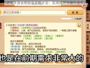 梦幻逍遥手游金榜题名攻略大全：实用技巧与操作指南详解