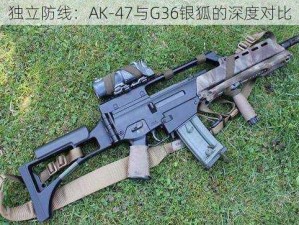 独立防线：AK-47与G36银狐的深度对比