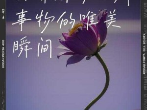 秋芬的婬乱生活 1—40：探索未知的性体验