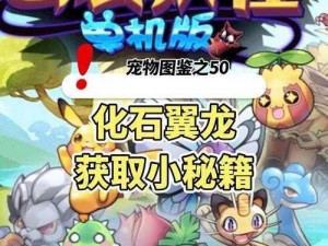 口袋妖怪3DS手游：全方位攻略助力你快速提升战斗力