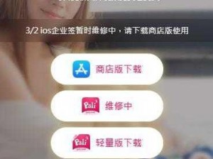 palipali2 网页轻量版，一款简洁易用的网页浏览器