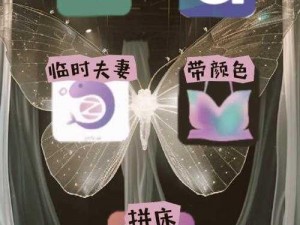 一款主打私密视频互动的成人社交 APP