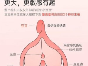 少妇白洁目录：体验极致快感的成人玩具