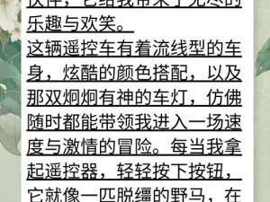 小诗的玩具日记1一15改造计划、改造计划：让小诗的玩具日记 1-15 重焕生机