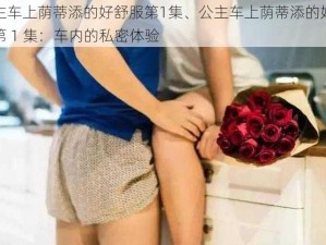 公主车上荫蒂添的好舒服第1集、公主车上荫蒂添的好舒服第 1 集：车内的私密体验