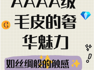 AAAA级跟AAAA级的相似度—AAAA 级和 AAAA 级的相似度有多高？