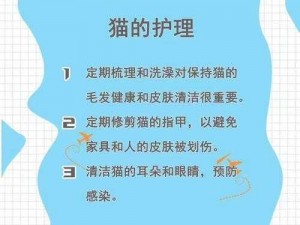 全面解析：宠物百科大全，涵盖各类宠物知识全面展示