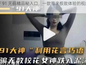 国产 91 无码精品秘入口，一款带来极致体验的视频软件