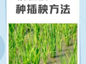 夫妻之间的100种插秧法_夫妻之间的 100 种插秧法：探索私密世界的指南