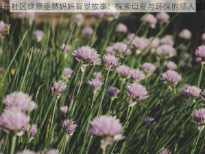 海角社区绿意盎然妈妈背景故事：探索母爱与环保的感人故事