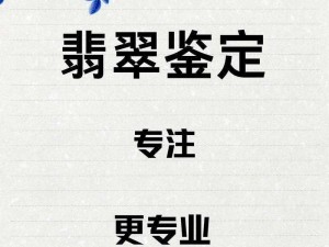 免费提供各类鉴定师 app 的网站大全，鉴定更轻松