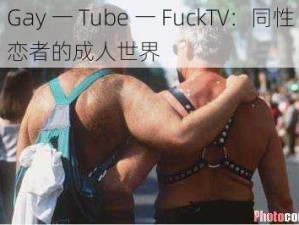 Gay 一 Tube 一 FuckTV：同性恋者的成人世界