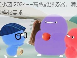 彩虹小蓝 2024——高效能服务器，满足您的多样化需求