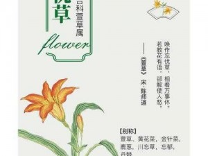 久久丫精品忘忧草西安品—西安品的久久丫精品忘忧草为何如此美味？