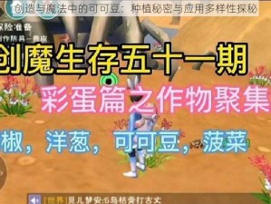 创造与魔法中的可可豆：种植秘密与应用多样性探秘