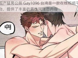 国产猛男公厕 Gay1096 台湾是一款在线视频平台，提供了丰富的男性同性恋内容