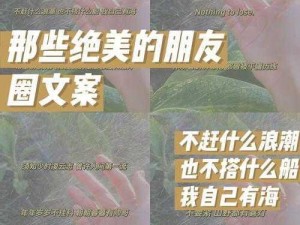 风华正茂，精心挑选的好感礼物创造情感浪潮