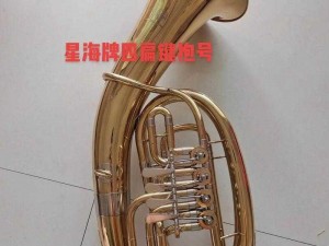 铜铜铜锵锵锵锵高品质铜管乐器，为音乐注入灵魂