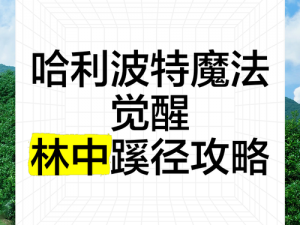 哈利波特魔法觉醒林中蹊径攻略：策略打法详解与技巧指南