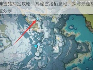 原神雪猪捕捉攻略：揭秘雪猪栖息地，探寻最佳捕捉位置分享