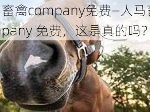 人马畜禽company免费—人马畜禽 company 免费，这是真的吗？