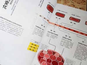 肉食教师食取报告 12：探究美味肉类的秘密