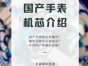 国产精品国内自产，功能强大，使用方便，安全可靠