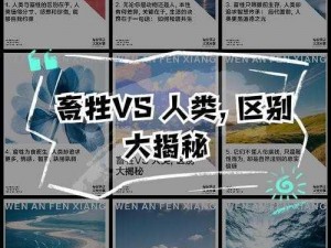 人与畜禽共性关系美国 人与畜禽共性关系研究：美国的视角