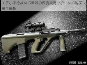 关于小米枪战AUG武器的深度实用分析：AUG购买决策全解析