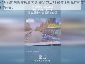 成品78w75通道1到现在热度不减-成品 78w75 通道 1 到现在热度不减，它为何如此受欢迎？