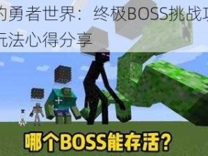 我的勇者世界：终极BOSS挑战攻略与玩法心得分享