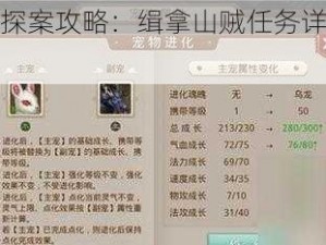 问道手游探案攻略：缉拿山贼任务详解与完成指南