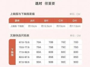 努力适应他的尺寸古言：情趣内衣