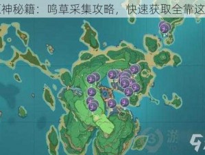 原神秘籍：鸣草采集攻略，快速获取全靠这招