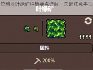 泰拉瑞亚叶绿矿种植要点详解：关键注意事项一览