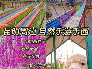 托卡大自然乐园：深度解析自然体验玩法与亮度调节指南