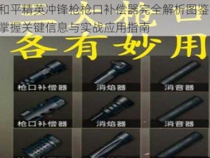 和平精英冲锋枪枪口补偿器完全解析图鉴：掌握关键信息与实战应用指南