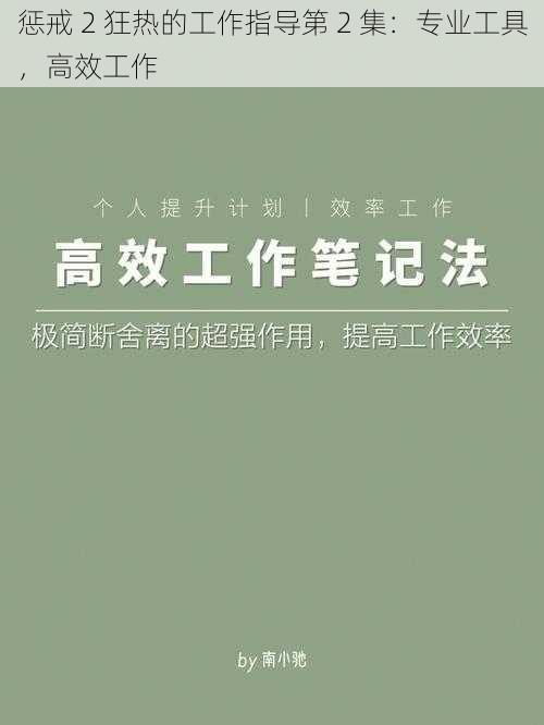 惩戒 2 狂热的工作指导第 2 集：专业工具，高效工作