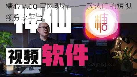 糖心 vlog 官网观看——一款热门的短视频分享平台